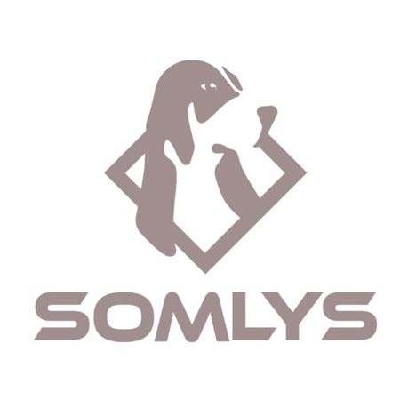 Somlys